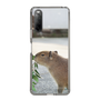 Slim Protection Case［ The Izu Animal Kingdom - Capybara ］