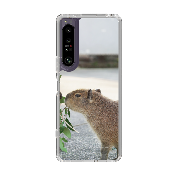 Slim Protection Case［ The Izu Animal Kingdom - Capybara ］