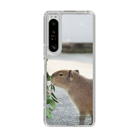 Slim Protection Case［ The Izu Animal Kingdom - Capybara ］