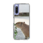 Slim Protection Case［ The Izu Animal Kingdom - Capybara ］