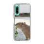 Slim Protection Case［ The Izu Animal Kingdom - Capybara ］