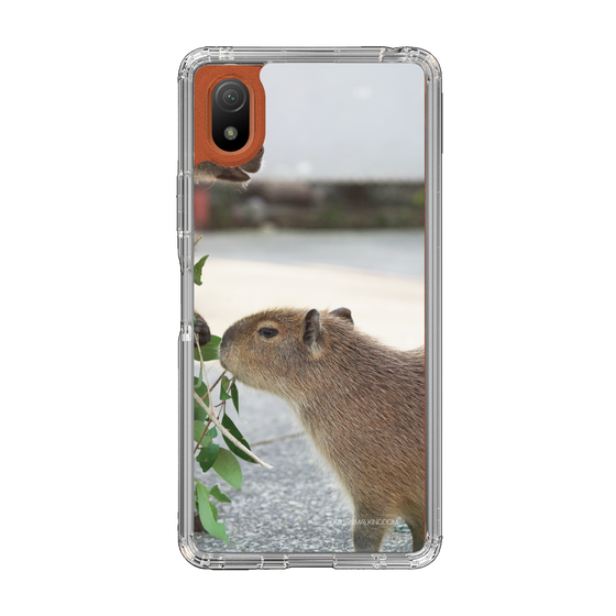 Slim Protection Case［ The Izu Animal Kingdom - Capybara ］