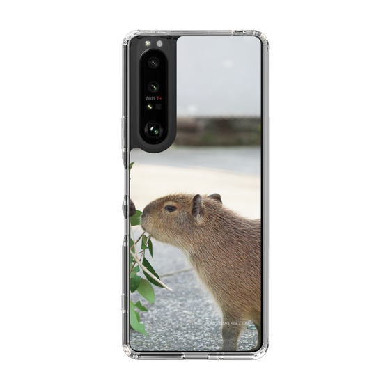 Slim Protection Case［ The Izu Animal Kingdom - Capybara ］