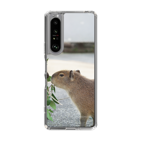 Slim Protection Case［ The Izu Animal Kingdom - Capybara ］