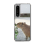 Slim Protection Case［ The Izu Animal Kingdom - Capybara ］