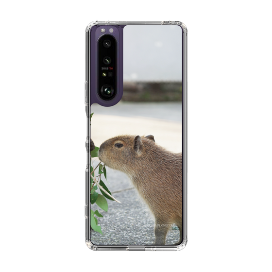 Slim Protection Case［ The Izu Animal Kingdom - Capybara ］