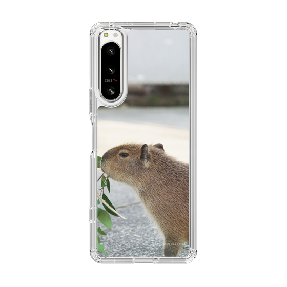 Slim Protection Case［ The Izu Animal Kingdom - Capybara ］