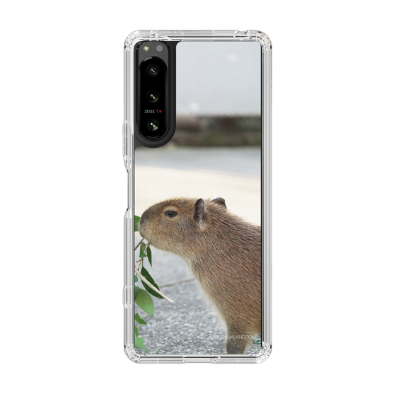 Slim Protection Case［ The Izu Animal Kingdom - Capybara ］