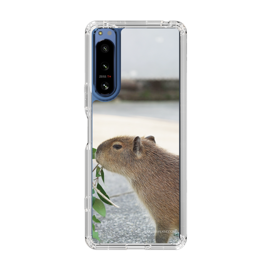 Slim Protection Case［ The Izu Animal Kingdom - Capybara ］