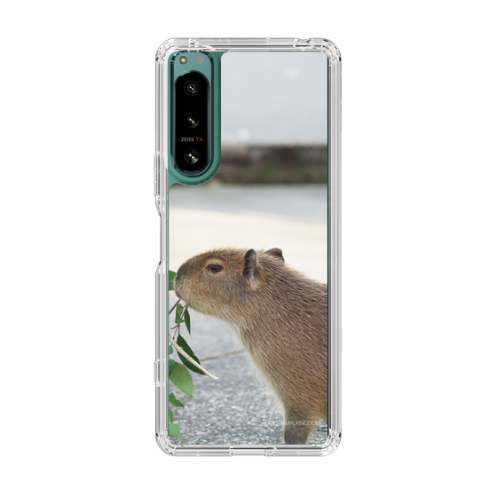 Slim Protection Case［ The Izu Animal Kingdom - Capybara ］