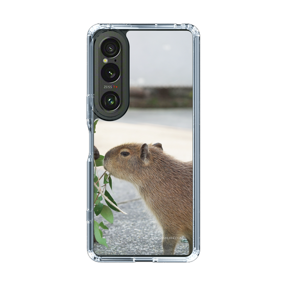 Slim Protection Case［ The Izu Animal Kingdom - Capybara ］