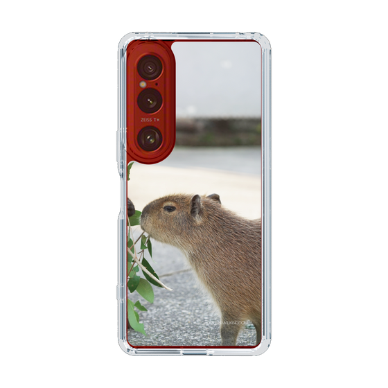 Slim Protection Case［ The Izu Animal Kingdom - Capybara ］
