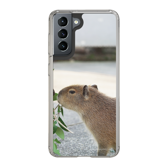 Slim Protection Case［ The Izu Animal Kingdom - Capybara ］