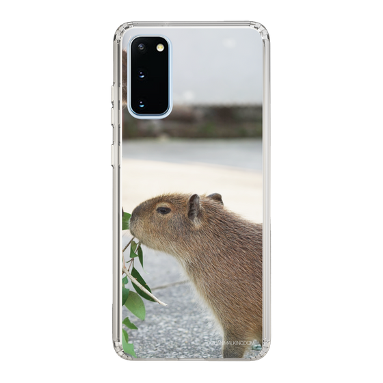 Slim Protection Case［ The Izu Animal Kingdom - Capybara ］