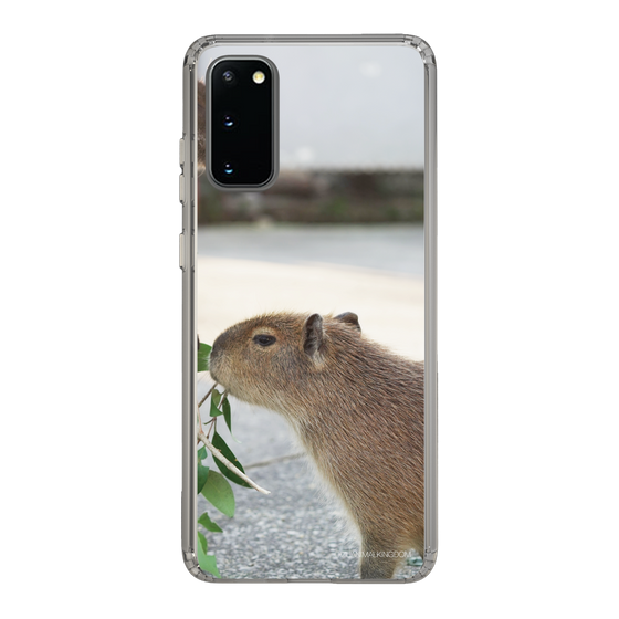 Slim Protection Case［ The Izu Animal Kingdom - Capybara ］