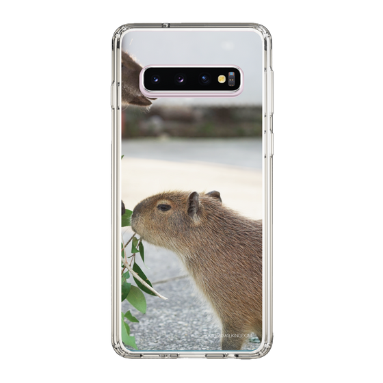 Slim Protection Case［ The Izu Animal Kingdom - Capybara ］