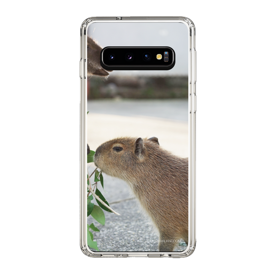 Slim Protection Case［ The Izu Animal Kingdom - Capybara ］