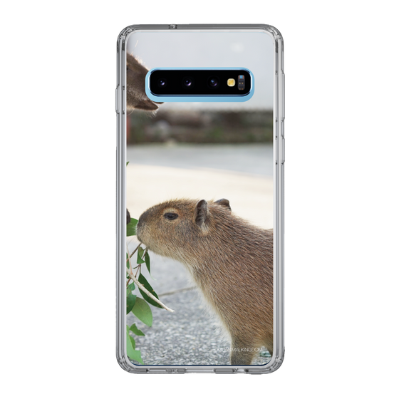 Slim Protection Case［ The Izu Animal Kingdom - Capybara ］