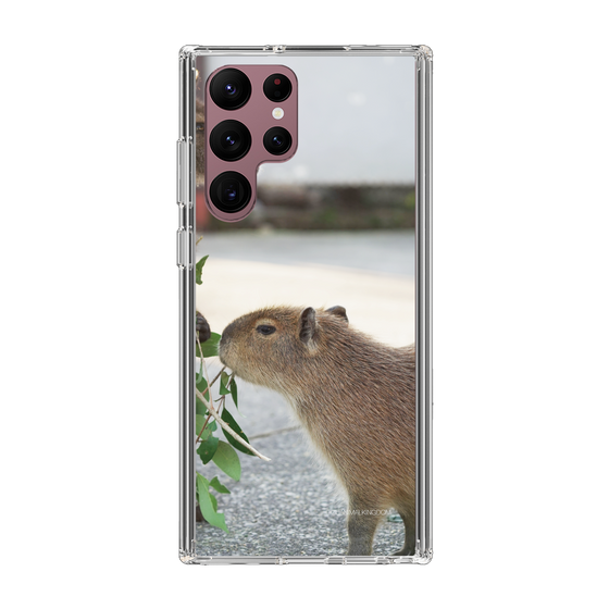 Slim Protection Case［ The Izu Animal Kingdom - Capybara ］