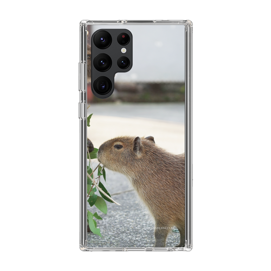 Slim Protection Case［ The Izu Animal Kingdom - Capybara ］