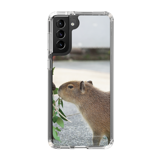 Slim Protection Case［ The Izu Animal Kingdom - Capybara ］