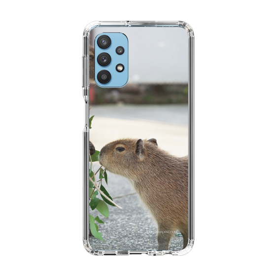 Slim Protection Case［ The Izu Animal Kingdom - Capybara ］