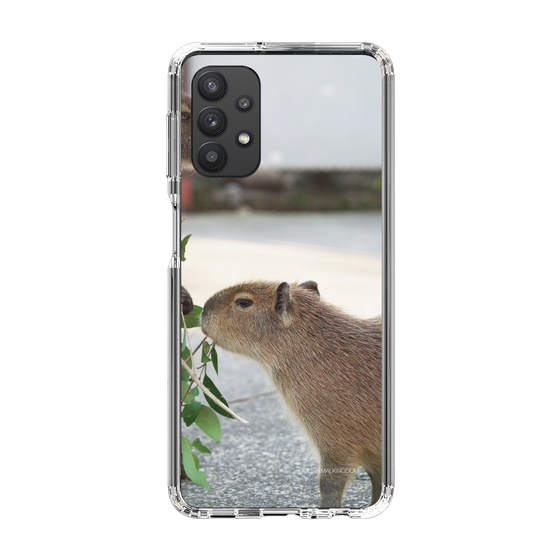Slim Protection Case［ The Izu Animal Kingdom - Capybara ］