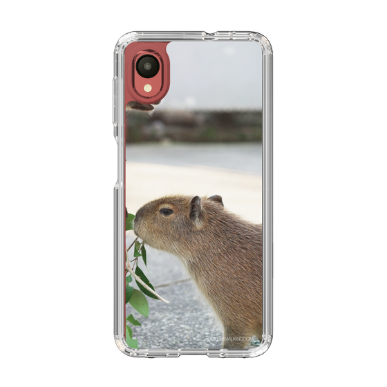 Slim Protection Case［ The Izu Animal Kingdom - Capybara ］