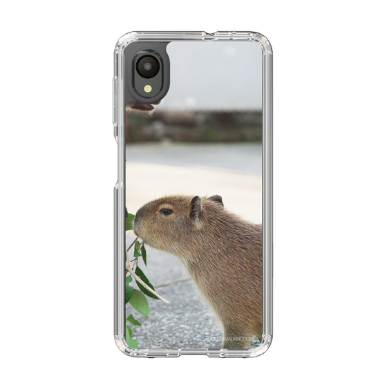 Slim Protection Case［ The Izu Animal Kingdom - Capybara ］