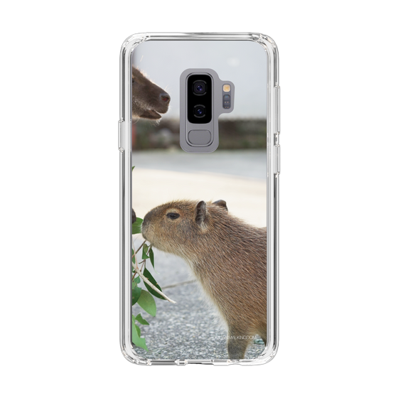 Slim Protection Case［ The Izu Animal Kingdom - Capybara ］