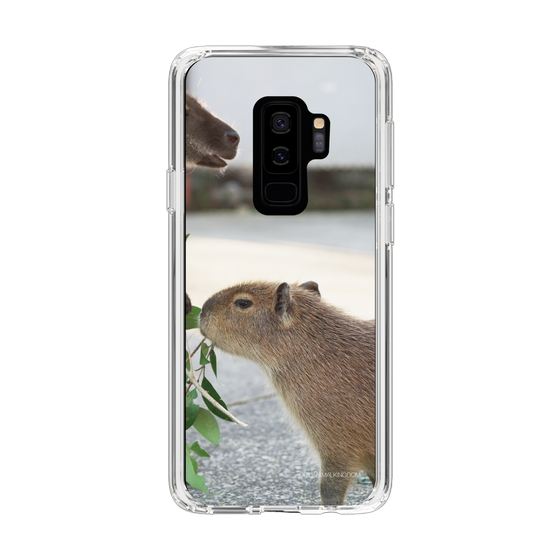 Slim Protection Case［ The Izu Animal Kingdom - Capybara ］