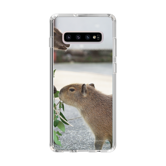 Slim Protection Case［ The Izu Animal Kingdom - Capybara ］