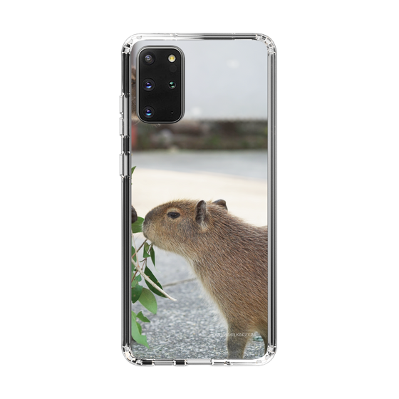 Slim Protection Case［ The Izu Animal Kingdom - Capybara ］
