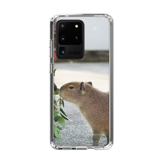 Slim Protection Case［ The Izu Animal Kingdom - Capybara ］