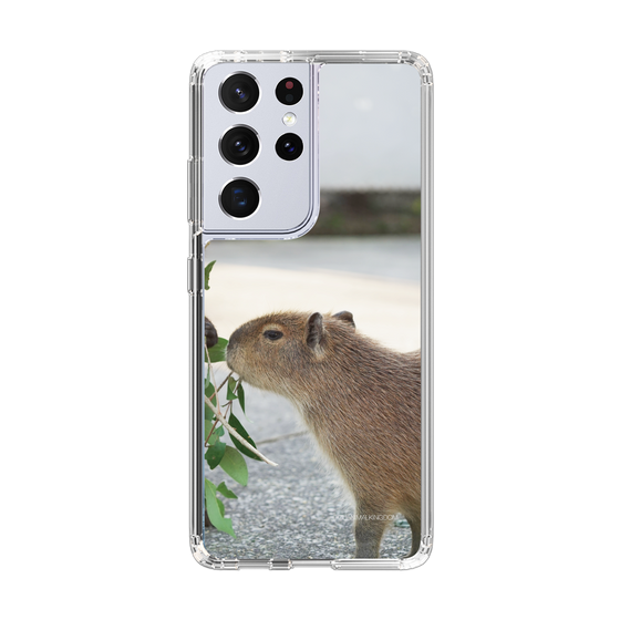 Slim Protection Case［ The Izu Animal Kingdom - Capybara ］