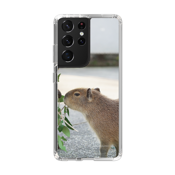 Slim Protection Case［ The Izu Animal Kingdom - Capybara ］