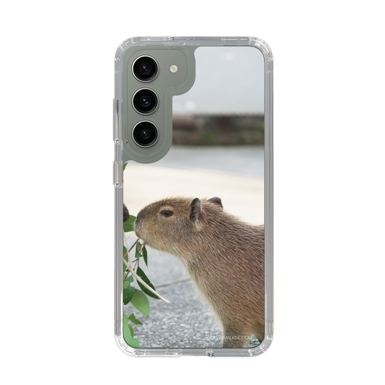 Slim Protection Case［ The Izu Animal Kingdom - Capybara ］