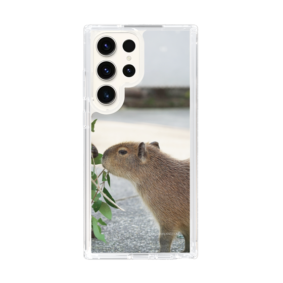 Slim Protection Case［ The Izu Animal Kingdom - Capybara ］