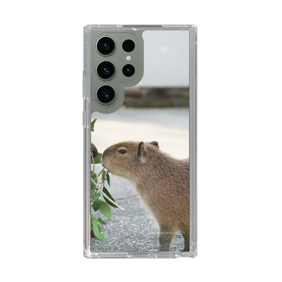 Slim Protection Case［ The Izu Animal Kingdom - Capybara ］