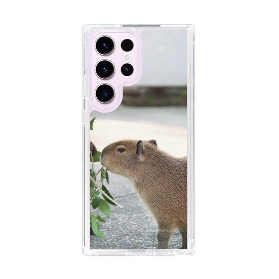 Slim Protection Case［ The Izu Animal Kingdom - Capybara ］