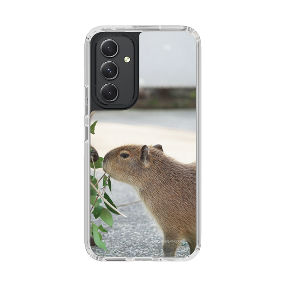 Slim Protection Case［ The Izu Animal Kingdom - Capybara ］