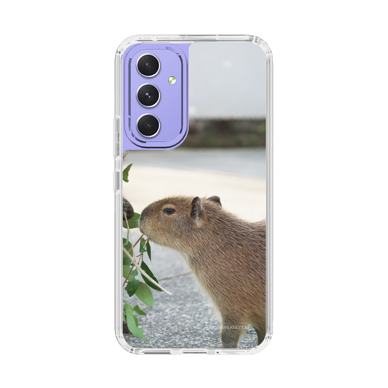 Slim Protection Case［ The Izu Animal Kingdom - Capybara ］