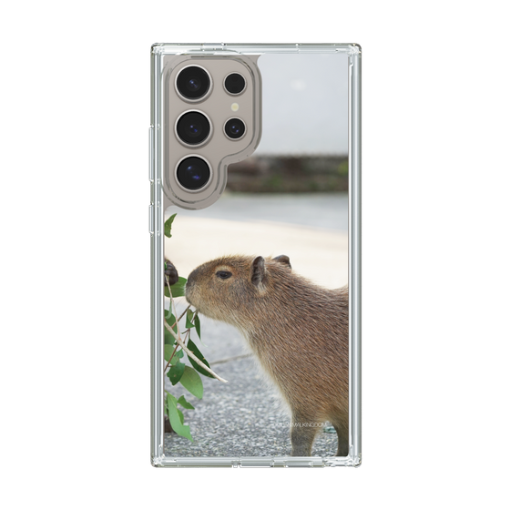 Slim Protection Case［ The Izu Animal Kingdom - Capybara ］