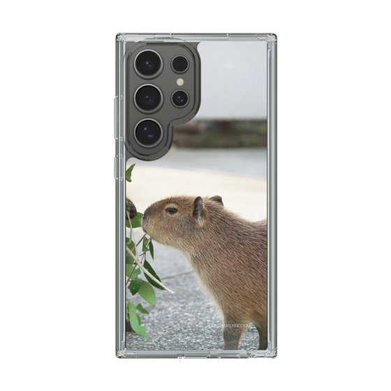 Slim Protection Case［ The Izu Animal Kingdom - Capybara ］
