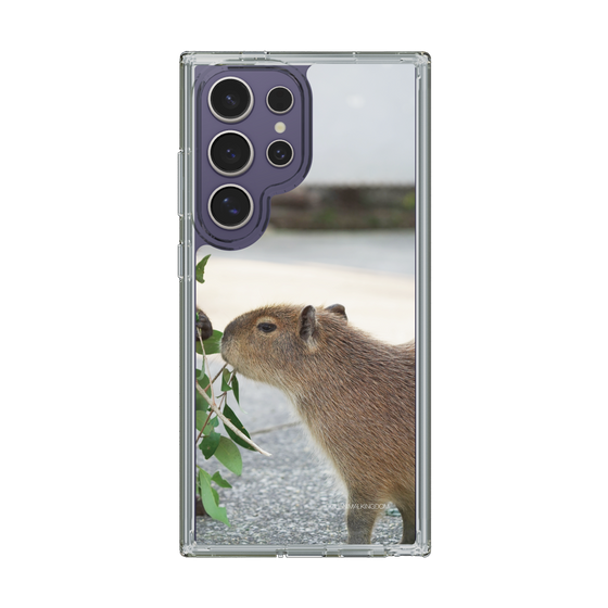 Slim Protection Case［ The Izu Animal Kingdom - Capybara ］