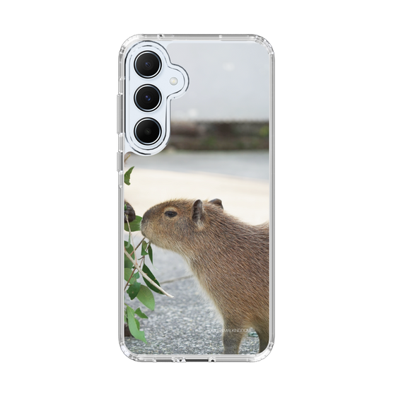 Slim Protection Case［ The Izu Animal Kingdom - Capybara ］