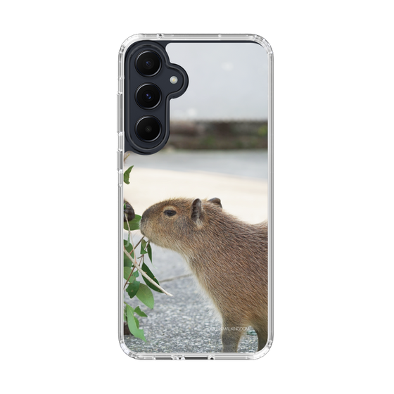 Slim Protection Case［ The Izu Animal Kingdom - Capybara ］