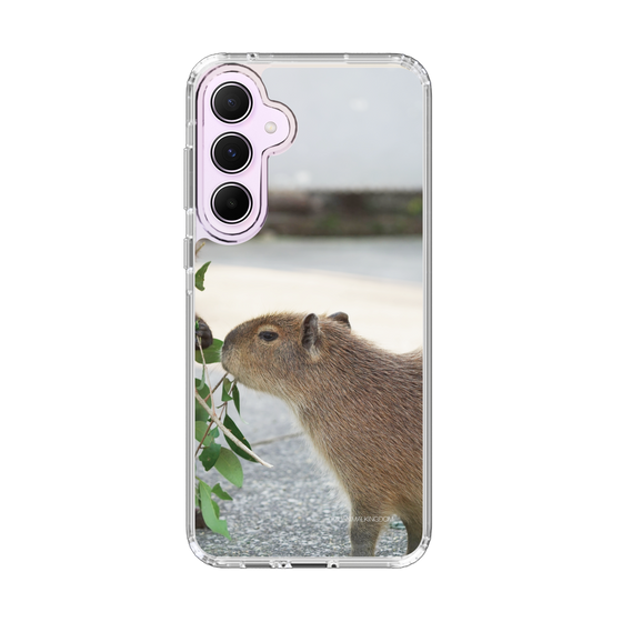 Slim Protection Case［ The Izu Animal Kingdom - Capybara ］