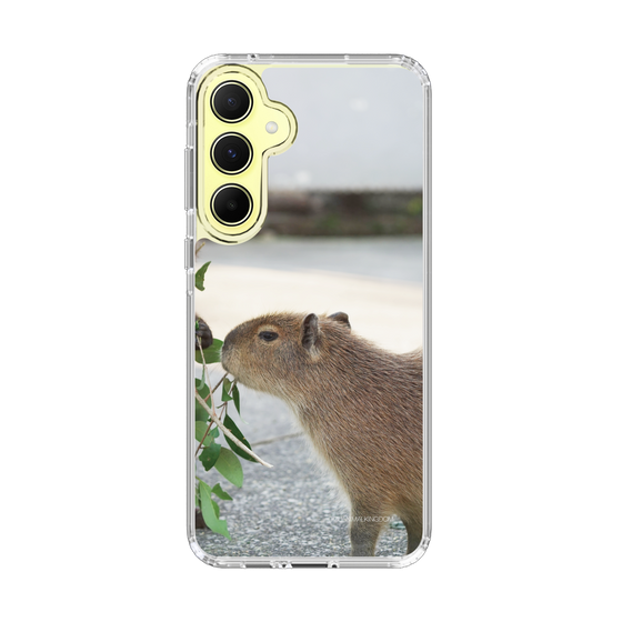 Slim Protection Case［ The Izu Animal Kingdom - Capybara ］