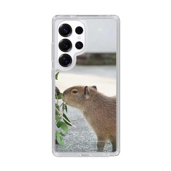 Slim Protection Case［ The Izu Animal Kingdom - Capybara ］